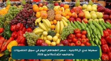سعرها عدي ال50جنية.. سعر  الطماطم اليوم في سوق الخضروات والفاكهة الثلاثاء19مايو 2026 